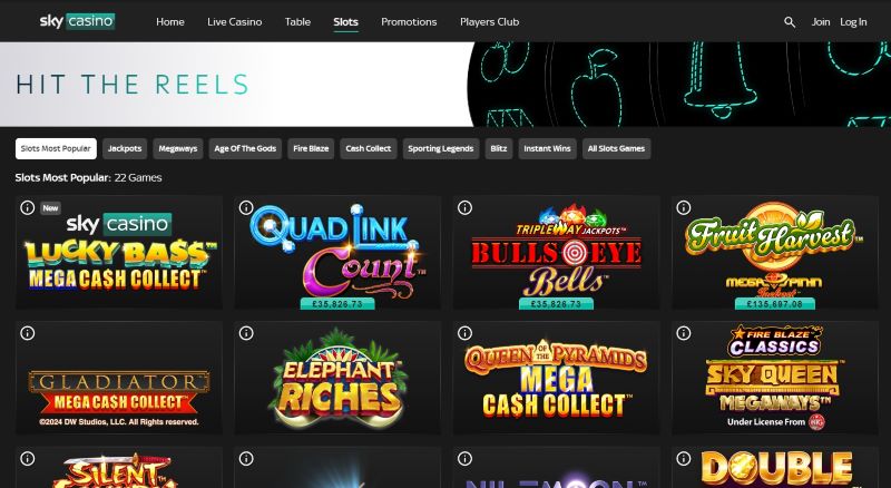 SkyCasino slots